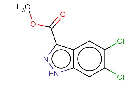 METHYL 5,6-DICHLORO-1H-INDAZOLE-3-CARBOXYLATE